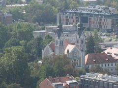 IMG 6389