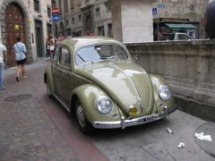 IMG 5331