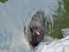 IMG 4938