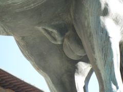 IMG 5798