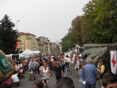 IMG 5339