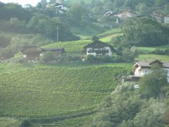 IMG 5052