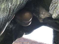 IMG 6676