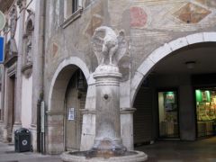 IMG 5081