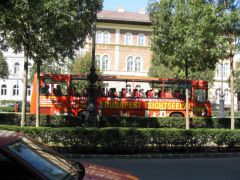 IMG 6517