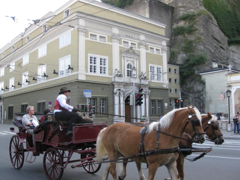 IMG 4869