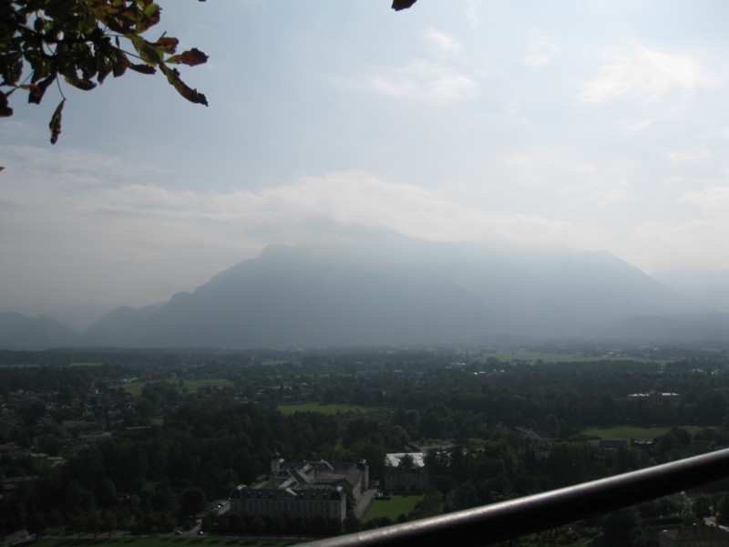 IMG 4852
