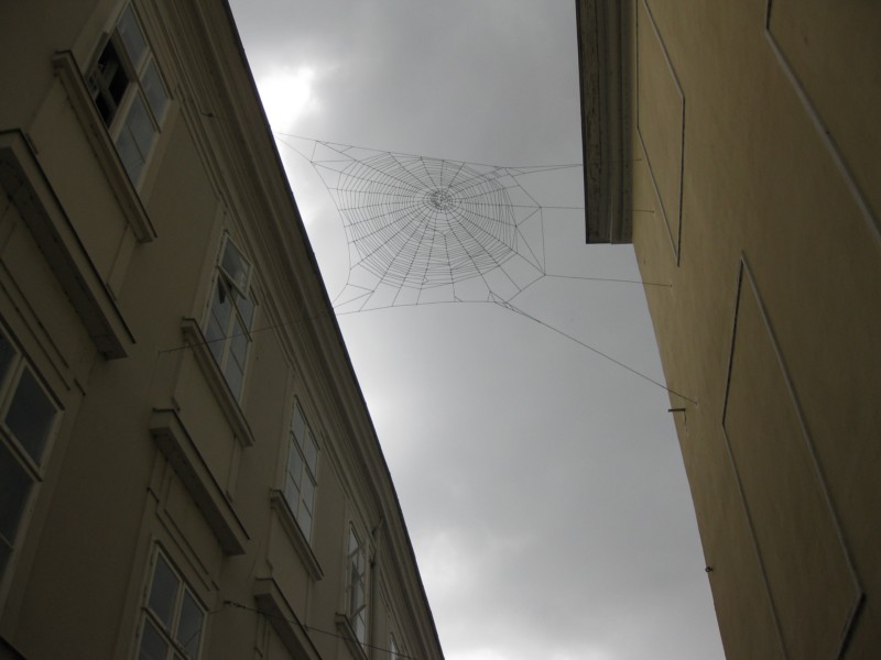 IMG 4555