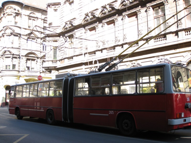 IMG 6528