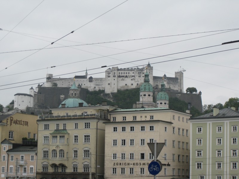 IMG 4731