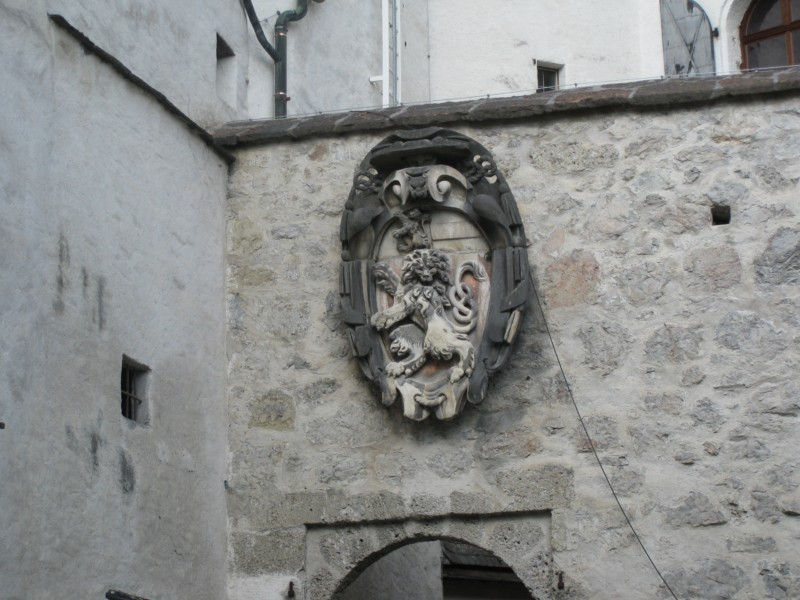 IMG 4857