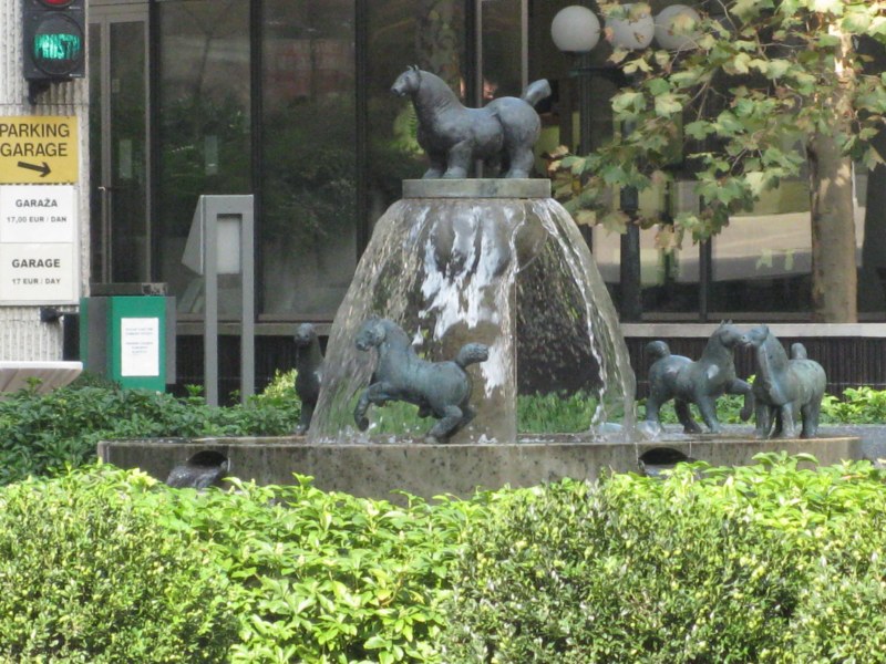 IMG 6360