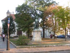 IMG 6659