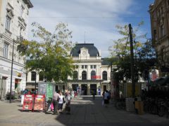 IMG 4501