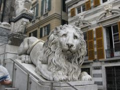 IMG 5622