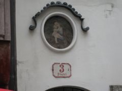 IMG 4704