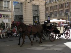 IMG 4306