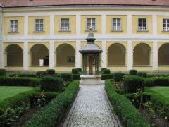 IMG 4520