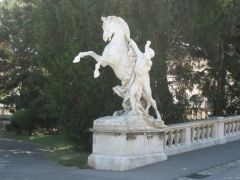 IMG 4338