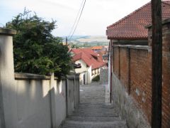 IMG 4057