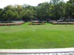 IMG 6471