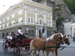 IMG 4869
