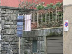 IMG 5325