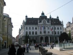 IMG 6367