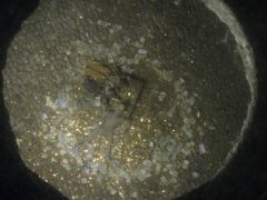 IMG 4807