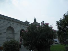 IMG 5247