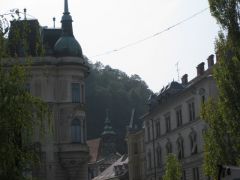 IMG 6364