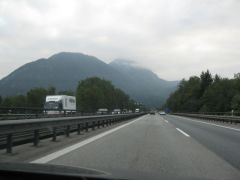 IMG 4879