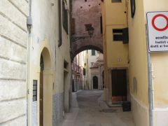 IMG 5165