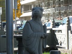 IMG 4263