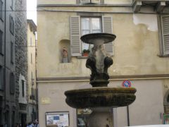 IMG 5264