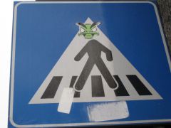 IMG 5348