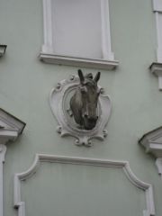 IMG 4722