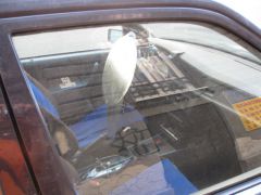IMG 6525