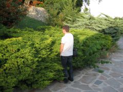IMG 4241