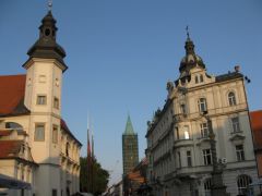 IMG 6442