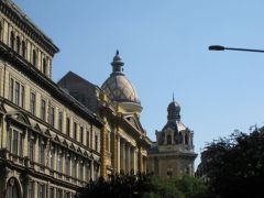 IMG 6564