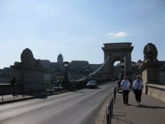 IMG 6600