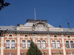 IMG 3975