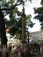 IMG 4153