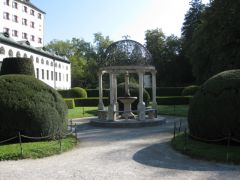 IMG 4918
