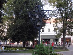 IMG 4037