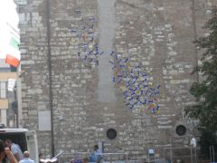 IMG 5239