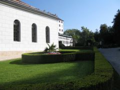 IMG 4910