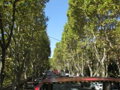 IMG 6025