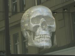 IMG 4294